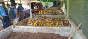 Read more about the article Vermi-compost – A bright and prospective business in Bangladesh